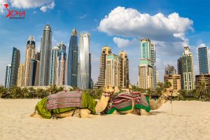 GIẤC MƠ Ả RẬP: VƯƠNG QUỐC DUBAI, ABU DHABI VÀ BÍ MẬT CỦA SA MẠC SAFARI