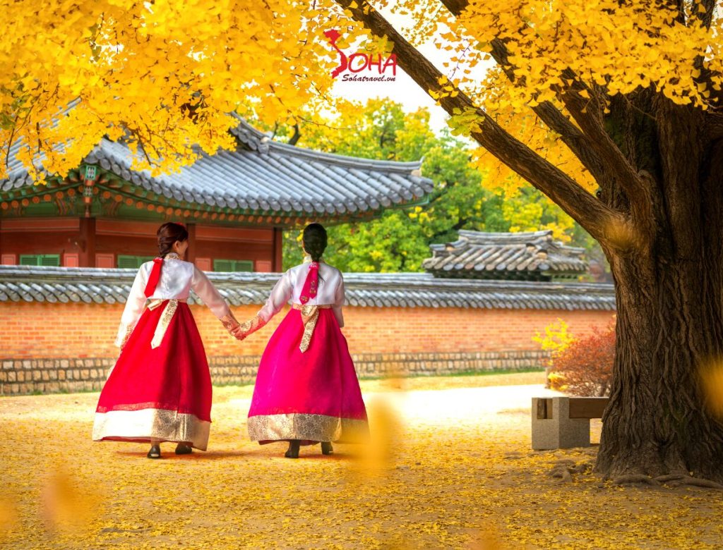 TOUR DU LỊCH HÀN QUỐC 5N4Đ MÙA THU: SEOUL – NAMI ISLAND – EVERLAND