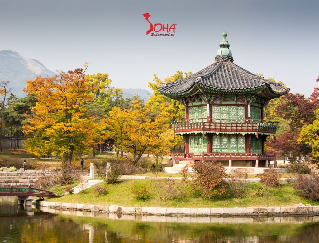 TOUR DU LỊCH HÀN QUỐC 5N4Đ MÙA THU: SEOUL – NAMI ISLAND – EVERLAND